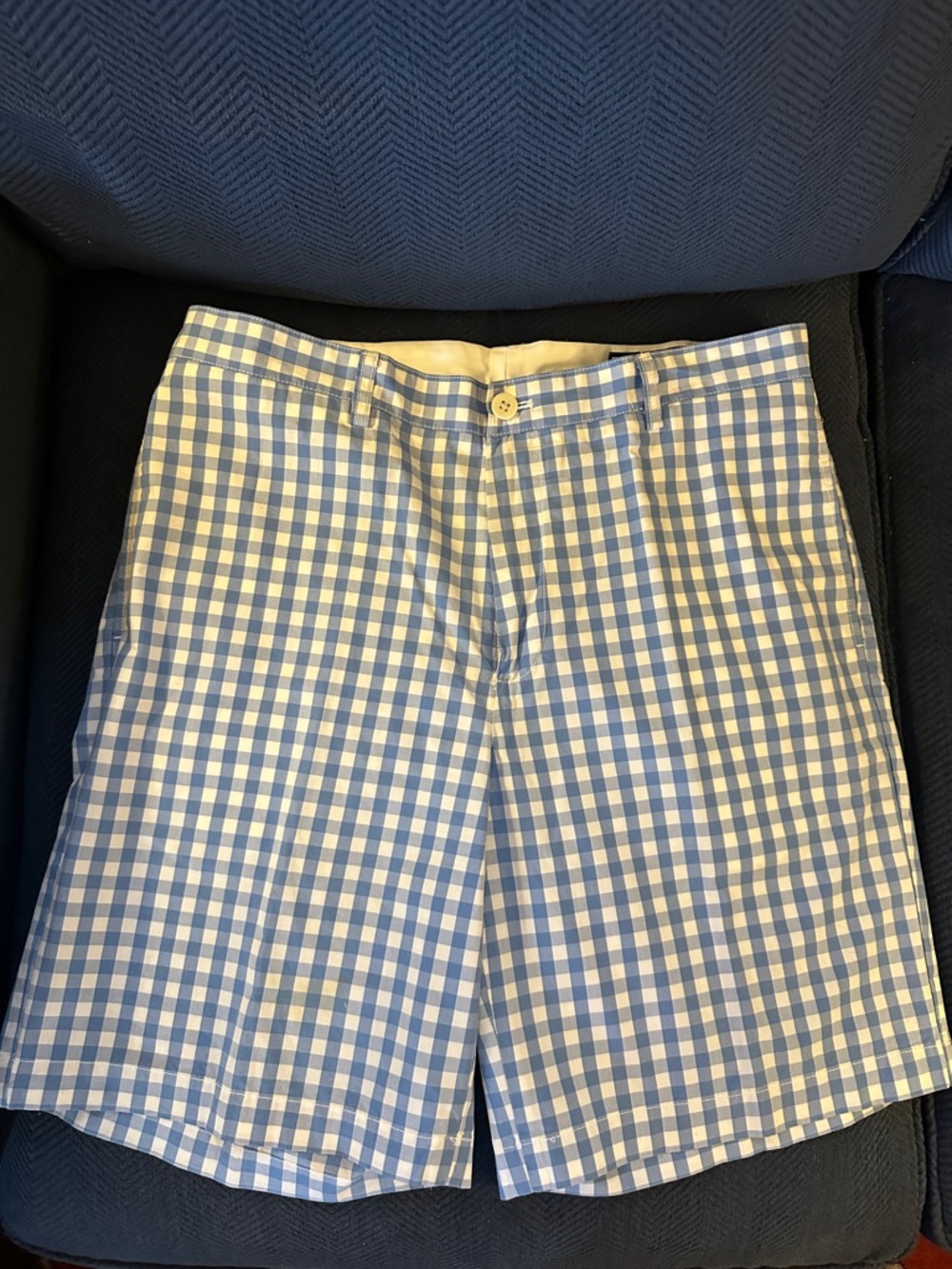 Vineyard Vines Blue and White Gingham Flat Front Shorts | Size 35 with 8” Inseam